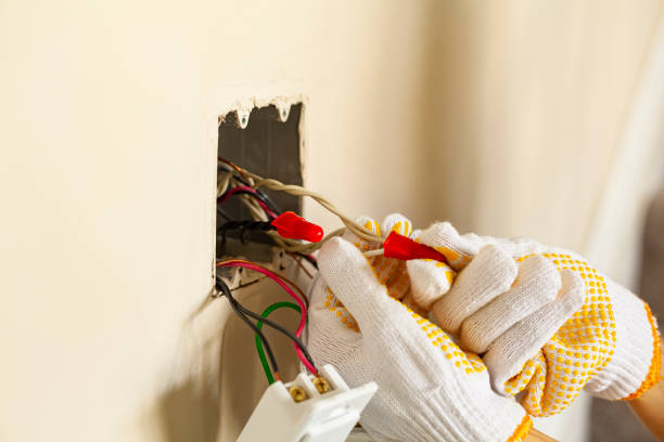 Best Electrical Panel Upgrades  in Belle, MO